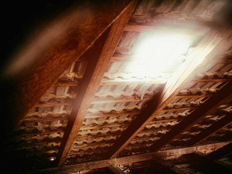 Daylight entering a loft through a rooflight, with the rafters visible